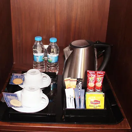 Manesol Boutique Lamartine Hotel Istanbul